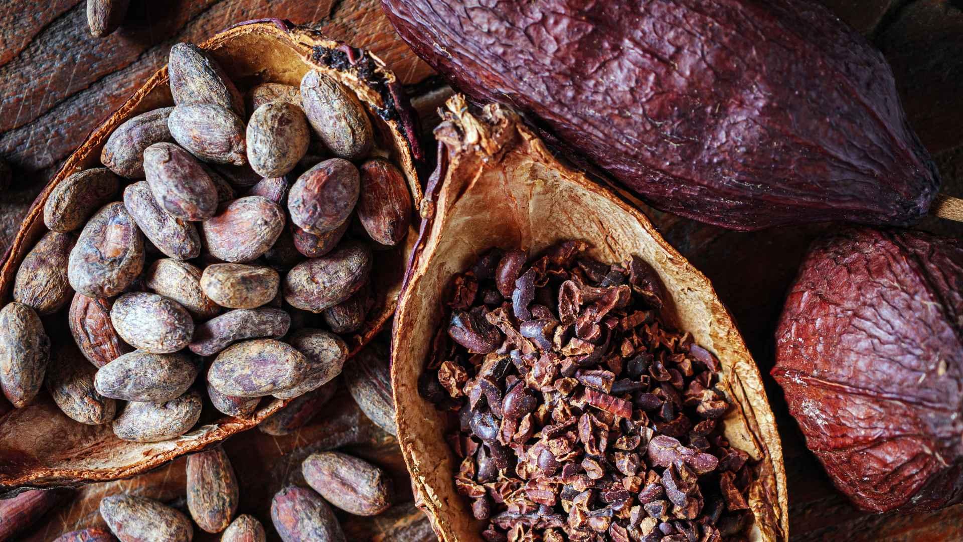 Bolsa de Cacao Qué Es y Cómo Puedes Invertir en Ella