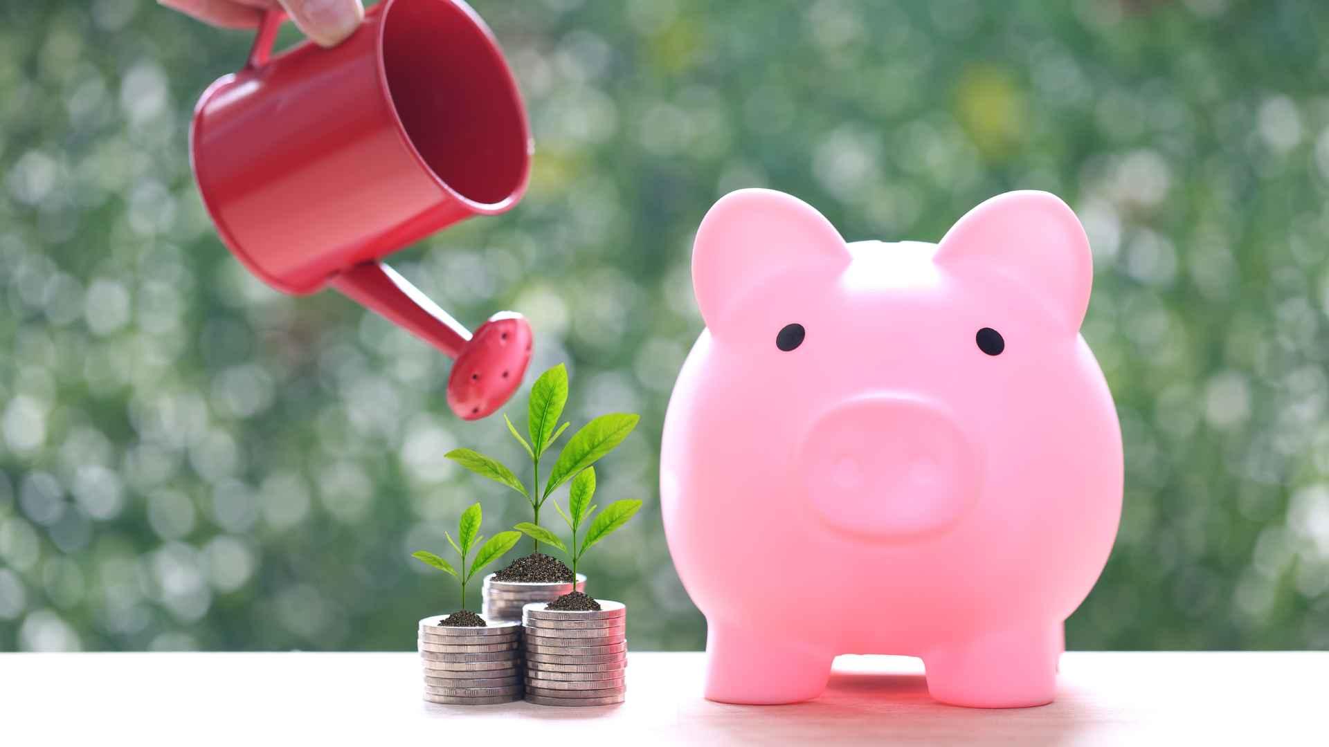 FSD Qué es el Fondo de Seguro de Depósito