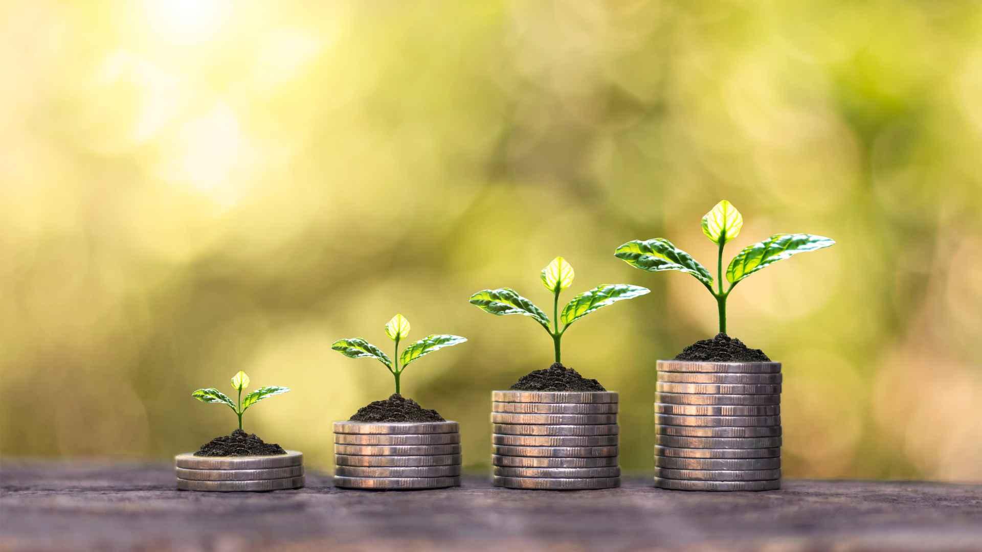 Interés Compuesto: Qué Es y Cómo se Calcula