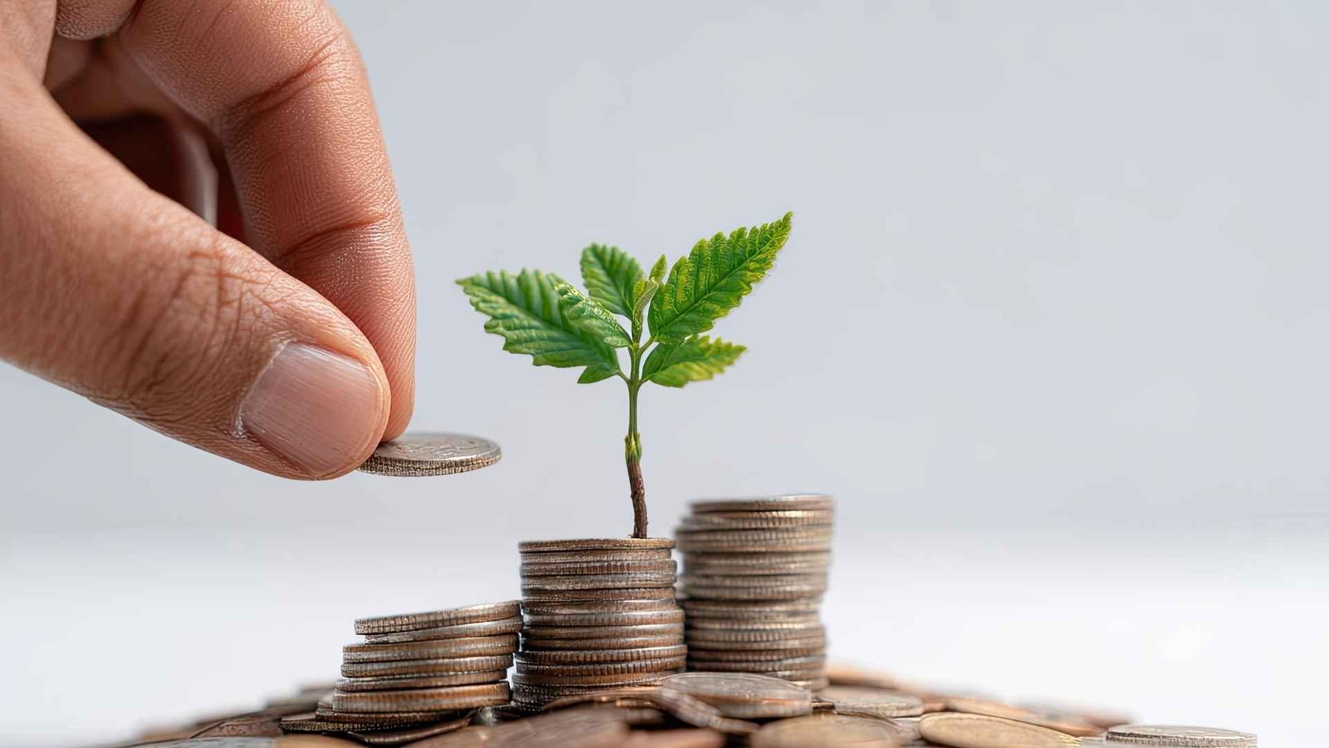 Invertir en bonos qué son, cómo funcionan y cómo empezar