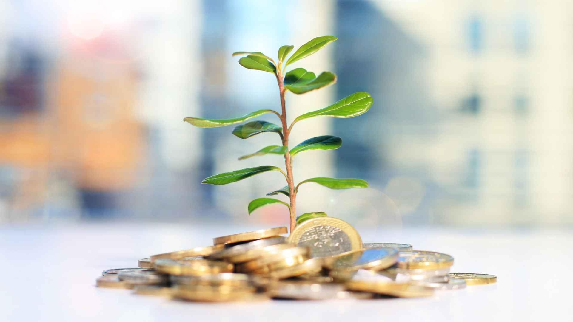 Liquidez: En Qué Consiste y Por Qué Es Importante