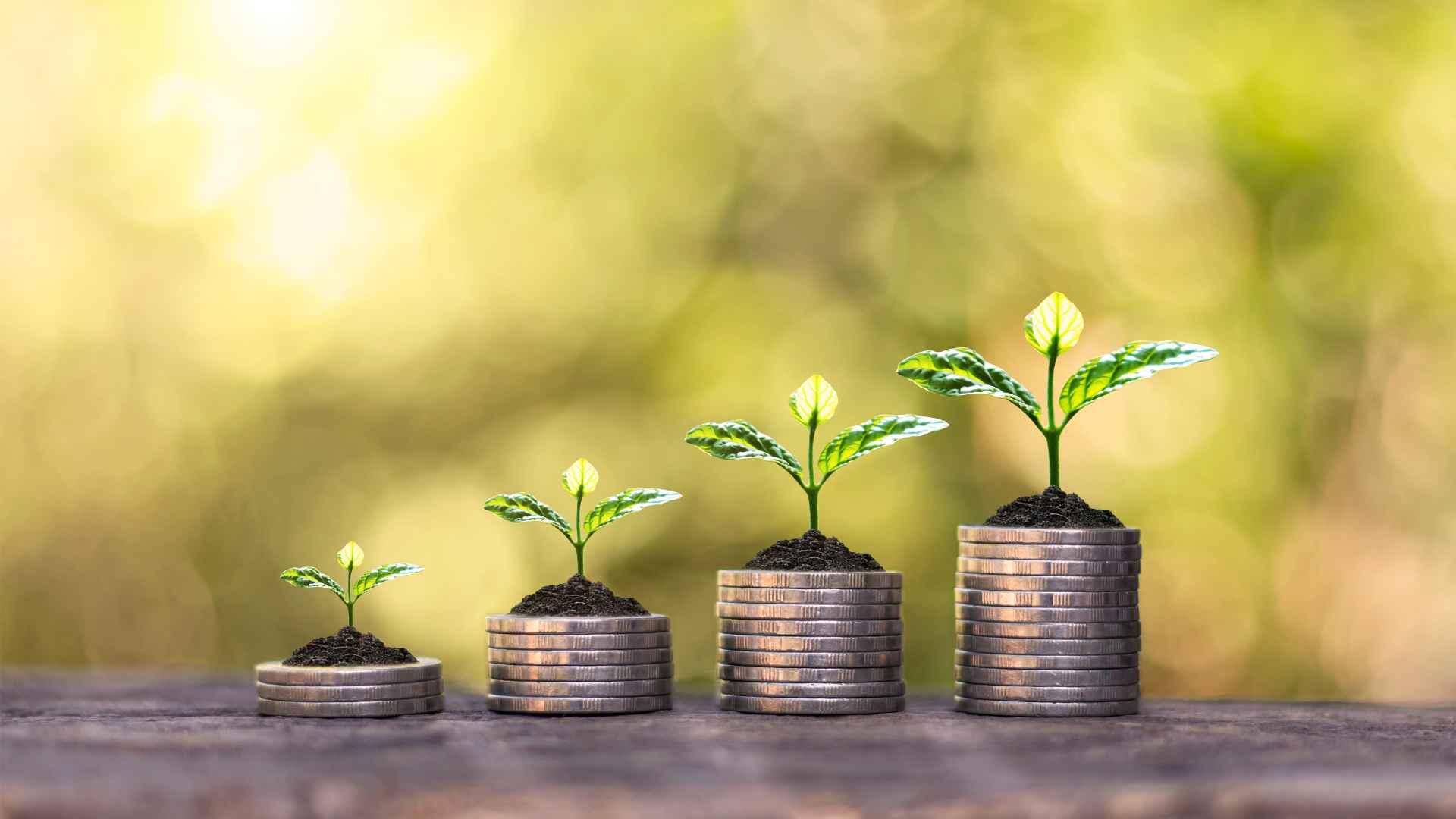 Ratio de Rentabilidad: Cómo Calcular el de tus Inversiones