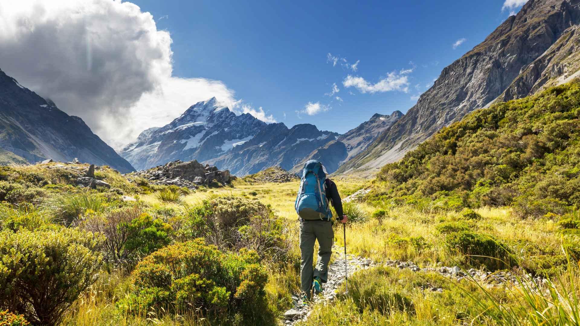 Work and Travel Nueva Zelanda: Requisitos