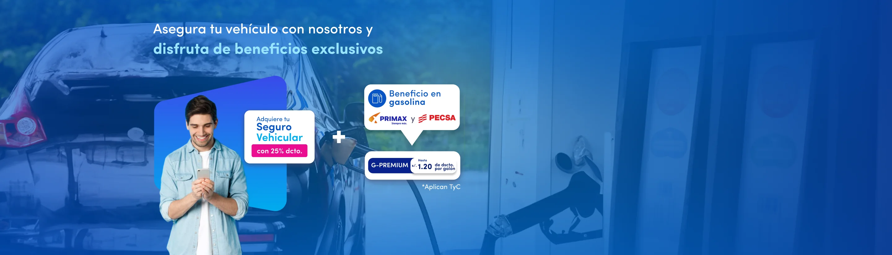 Banner seguro vehicular