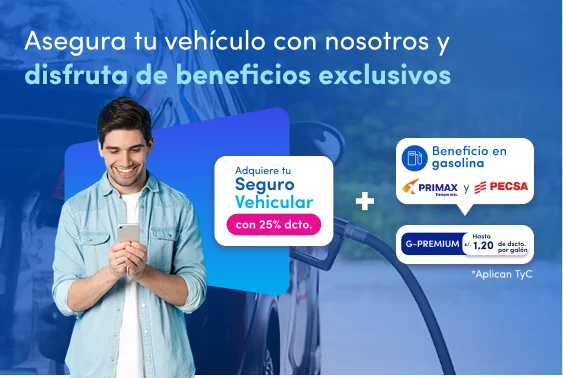 Banner seguro vehicular
